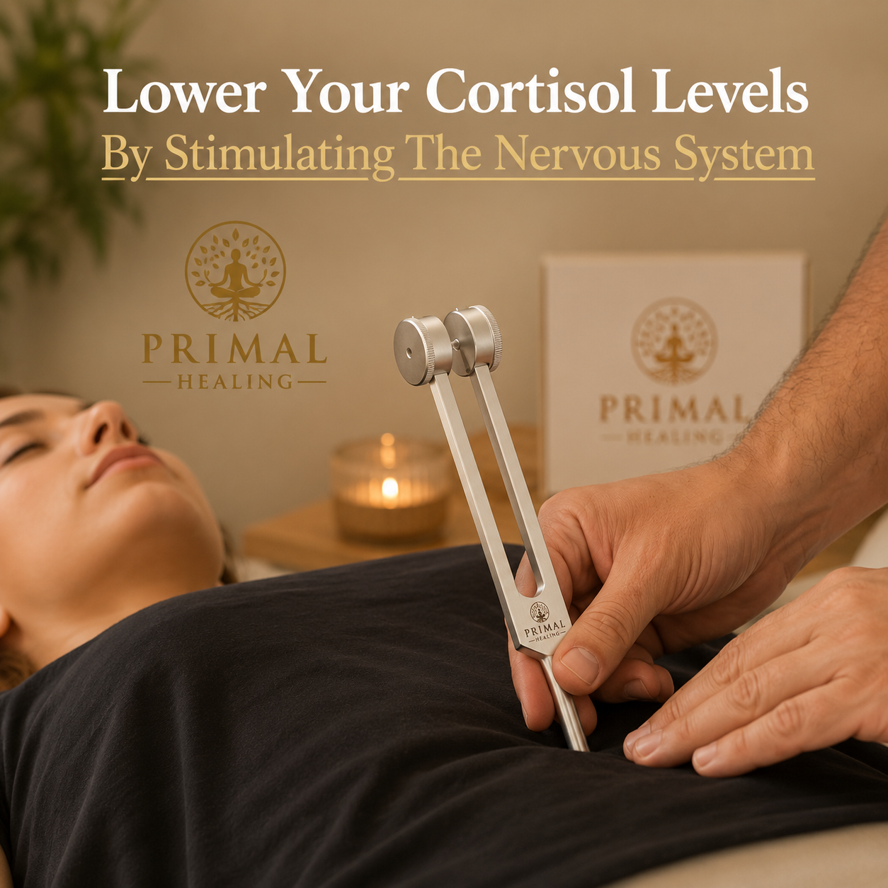 The PrimalHealing™ Reset Routine